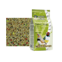 【Whitte Molen 荷蘭偉特】熱帶鳥飼料 1kg/包(鳥飼料 鳥主食)