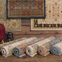 優立土耳其進口波斯復古地毯美式客廳茶幾毯臥室床邊毯地墊哈利斯