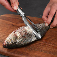 Scaler Ikan, Diperbuat daripada Keluli Tahan Karat, Alat Dapur Yang Menakjubkan, Ketibaan Baru, Alat