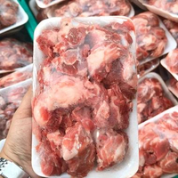 Iga Koin 500gram