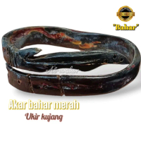 Akar Bahar Gelang Akar Bahar Merah Asli Ukir Kujang Super Lentur - Bracelets Special Edition Motif U