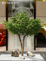 美空雙桿仿真福祿桐樹大型落地金錢樹元寶樹室內假樹綠植擺件裝飾