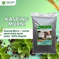 Lebur Subur by Rejo Farm pupuk padat organik dari Kascing Murni