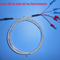 Imported A and B Grade Core Six-wire Double PT100/PT1000 Thermal Resistance Temperature Sensor, Thermocouple