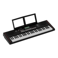 【ROLAND 樂蘭】入門款首選電子琴 61鍵攜帶式電子琴｜E-X10(自動伴奏琴 KB 電子琴 電子鋼琴 伴奏電子琴)