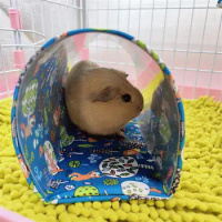 Hamster Play Tubes Forest Pattern Hideout Tunnel Toy Pet Supplies For Guinea Pig Rabbit Hedgehogs Chinchillas Accessories Toys