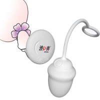 DRYWELL 7 Speeds Vibrator USB Charging Panties Vibrating Egg Clitoris G Spot Stimulator Wireless Remote Control Adult Sex Toys