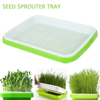 Seed Sprouter Tray with Drain Holes Soil-Free Large Capacity Healthy Wheatgrass Cover Seedling Sprout Plate Home Plastic Tool