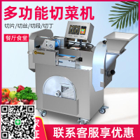 雙頭切菜機商用多功能食堂用不銹鋼全自動電動切絲切段切片切丁機
