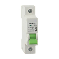 1P DC Miniature Circuit Breaker 16A/20A/32A/63A DC250V For Solar Panel Grid Systems Charging/Power Circuit Breaker