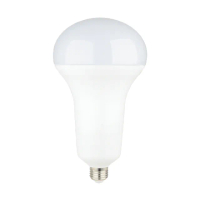 【木林森照明】五入 30W 黃光 LED高瓦數燈泡 球泡燈 世界前三大LED照明品牌(節能 無藍光危害 CNS國家認證)