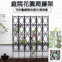 【免運】爬藤支架 玫瑰 園藝爬藤架 花架 柵欄花架 爬藤架 月季花支架 戶外庭院植物網格 屏風 隔斷藤架 墻面