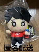 猪戸周杜 ぬいぐるみ WAIWAI RADIO 8iper timelesz 猪俣周杜 timelesz ぬいぐるみ ボイスマスコット - メルカリ