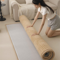 超厚客廳地墊睡覺打地鋪地毯客廳珊瑚絨榻榻米地毯墊臥室床邊炕墊