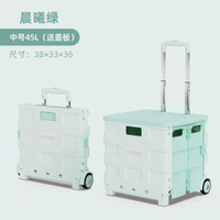 便攜摺疊購物車買餸車小拉車萬向輪塑膠拉桿車小推車