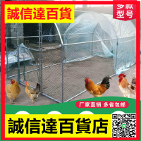 大型雞籠養雞棚戶外鋼管搭建養殖大棚家禽養殖棚家用寵物籠子雞舍