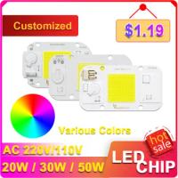 LED Chip Color Temperature Customization 20W 30W 50W AC 220V 240V Intelligent IC No Driver DIY Floodlight LED Bulbs Spotlight