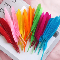 50Pcs/lot Decorative Painting Colorful Feather Kindergarten Hand DIY Decorative Wing Art Creative Art Materials Feathers