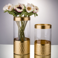 輕奢透明圓柱形金邊水培金色玻璃花瓶富貴竹軟裝家居飾品桌面擺件