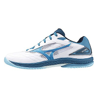 Mizuno Wave Drive 9 [81GA220532] 男女 桌球鞋 羽球 運動 訓練 室內 止滑 白藍