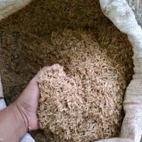 Sekam Padi Mentah Ukuran Karung Beras 25 & 50 KG