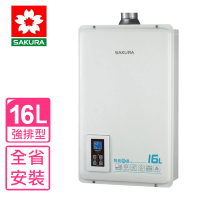 【SAKURA 櫻花】16公升強制排氣熱水器數位式FE式NG1/LPG(DH-1670A基本安裝)