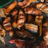 Asapan ikan lele harga murah Food