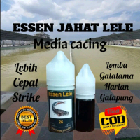 Essen jahat Galatama lele media cacing