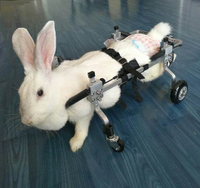 貓咪癱瘓輪椅寵物狗殘疾貓咪代步車狗狗輪椅車四肢小型兔子學步車