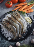 現貨 活凍白蝦 30 40 泰國 白蝦 鮮凍大白蝦 白蝦 蝦子