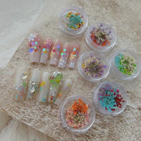 1Box Nail Accessories Dry Flowers Monet Garden Oil Painting Series Color Small Pollen Orange Fragran