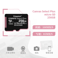 Hot  Kingston High-Speed  Gopro Memory Card