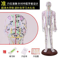 全城熱賣 - 中醫針灸穴位人體模型教學全身十二經絡圖小皮人軟膠扎針練習模特升級版52CM彩色男款硬模
