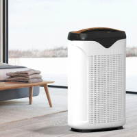 Negative Ion Air Purifier h13 Hepa Filter Air Purifier for Home Remove Germs and Pollen