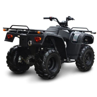 Four-Wheel 250cc Motorcycle Adult ATV 2*4 125/150/200/250CC Factory Price Beach Buggy Mountain Bike 4*4 400/500CC