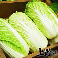【上野物產】8包 台灣產 山東大白菜 切段(300g±10%/包 蔬菜/冷凍蔬菜/白菜/大白菜/白菜滷)
