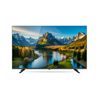奇美 CHIMEI G2系列 55型 多媒體液晶顯示器 /台 TL-55G200