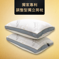 【Simple Living】專利科技可調整型天絲獨立筒抑菌水洗枕(二入)