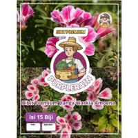Bibit Premium Clarkia Amoena | Benih Flower Farewell | Benih Bunga Farewell