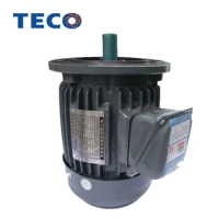 TECO brand 3hp inverter duty ac motor with frequency conversion fan