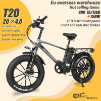 Oem Factory Electric Hybrid Bike Cheap Electric Bike Fat Tire Mountain Bicycle Steel Import from China 48V T20 17 15 Ah 20"