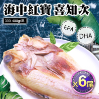 築地一番鮮-深海紅寶石喜知次一夜干6尾組(300-400g/尾)