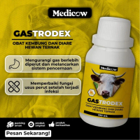 Medicow Gastrodex Obat Kembung Untuk Sapi 100ml | sapi kembung | obat kembung sapi |