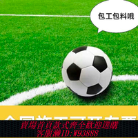 人造草皮 學校室外室內足球場人造草坪幼兒園學校操場人工仿真草坪上門施工