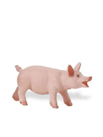 SF CLASSIC PIGLET
