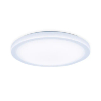 【Panasonic 國際牌】日本製 LGC31301A09 LED 31.7W 110V 星曜 增亮 調光調色 遙控吸頂燈