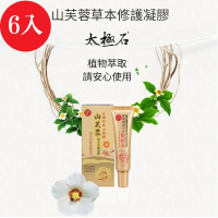 【TAICHI 太極石】山芙蓉草本修護凝膠 6支 25ml/支(修護、國寶、調理、舒緩、過敏)