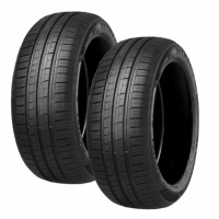 【Minerva】F205 米納瓦運動操控電動車轎車輪胎 四入組 255/45/19適用車款特斯拉Model Y等(安托華)