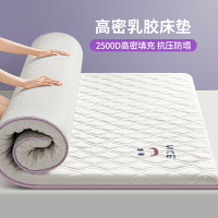 乳膠床墊軟墊家用榻榻米記憶棉秋冬墊子海綿墊薄款床褥墊定制