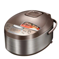 220V/860W Mini Large Capacity Smart Electric Cooker Porridge Electric Steamer 4L Household Multifunctional Rice Cooker